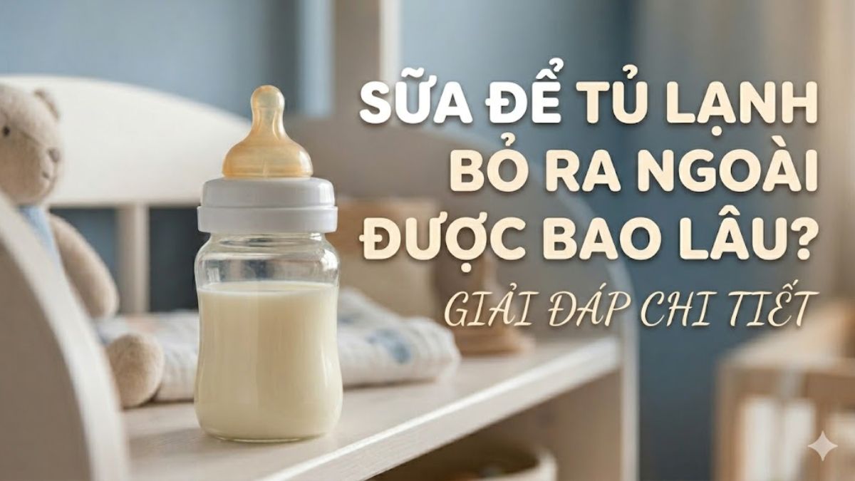 Sữa để tủ lạnh bỏ ra ngoài được bao lâu? Giải đáp chi tiết